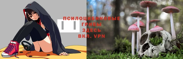 бошки Горнозаводск
