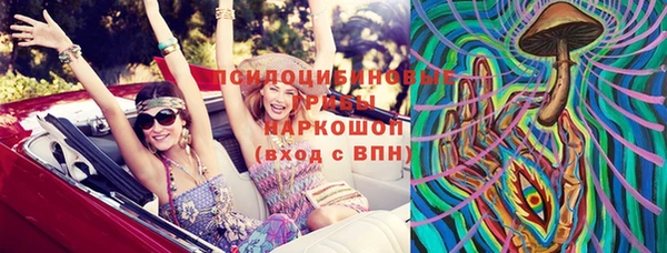 бошки Горнозаводск