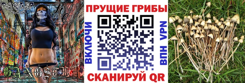 Галлюциногенные грибы мухоморы  Томск 